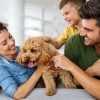 happy-family-playing-having-fun-with-dog-at-home-1.jpg