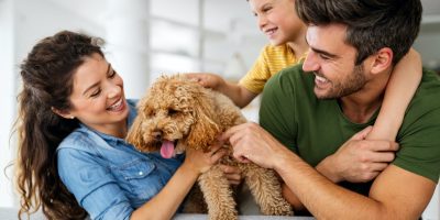 happy-family-playing-having-fun-with-dog-at-home.jpg